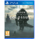 Shadow of the Colossus. В тени колосса [PS4, русская версия] в Великом Новгороде