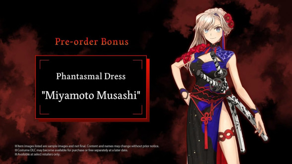 Игра Fate/Samurai Remnant [Nintendo Switch, английская версия] в Великом Новгороде