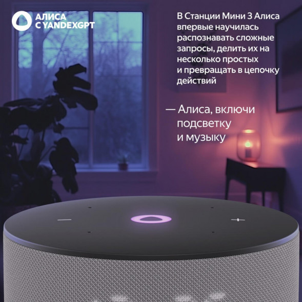 Умная колонка Яндекс Станция Мини 3 c Алисой на YandexGPT, серая в Великом Новгороде