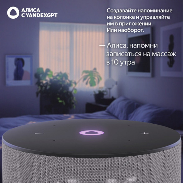 Умная колонка Яндекс Станция Мини 3 c Алисой на YandexGPT, серая в Великом Новгороде