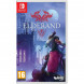 Игра Elderand [Nintendo Switch, русские субтитры] в Великом Новгороде