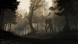 Игра GreedFall [PS4, русские субтитры] в Великом Новгороде