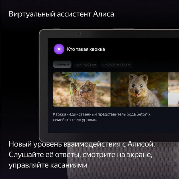 Яндекс Станция Дуо Макс с Алисой, с Zigbee, 60 Вт, бежевый в Великом Новгороде