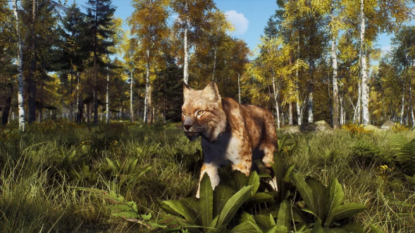 Игра Way of the Hunter: Wild Expeditions [PS5, русские субтитры] в Великом Новгороде