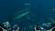 Игра Subnautica: Below Zero [PS5, русские субтитры] в Великом Новгороде