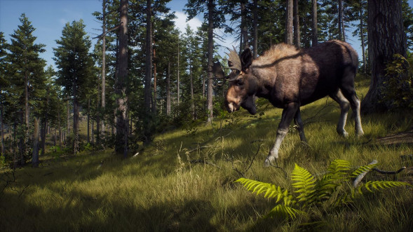 Игра Way of the Hunter [PS5, русские субтитры] в Великом Новгороде