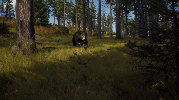 Игра Way of the Hunter [PS5, русские субтитры] в Великом Новгороде