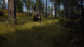 Игра Way of the Hunter [PS5, русские субтитры] в Великом Новгороде