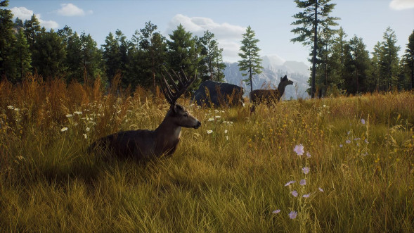 Игра Way of the Hunter [PS5, русские субтитры] в Великом Новгороде