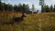 Игра Way of the Hunter [PS5, русские субтитры] в Великом Новгороде