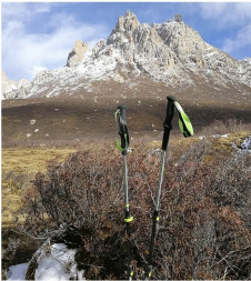 Треккинговая палка Naturehike 135 см, 1 шт., белый/красный