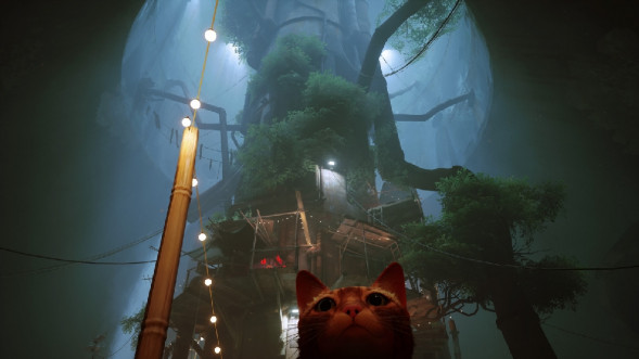 Игра Stray [PS5, русские субтитры] в Великом Новгороде