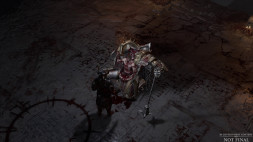Игра Diablo IV [PS4, русская версия]
