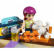 Конструктор LEGO Friends 41099 Скейт-парк в Великом Новгороде