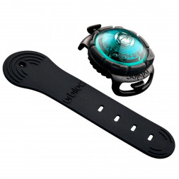 Фонарь для собак Orbiloc Dog Dual Fashion Colours, бирюзовый