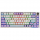 Клавиатура механическая AJAZZ AK820 [S1-AK820-1-RGB-DIY-SSS-PWB] в Великом Новгороде