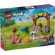Конструктор LEGO Friends 42607 Осенний сарай для теленка в Великом Новгороде