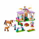 Конструктор LEGO Friends 41746 Horse Training в Великом Новгороде