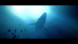 Игра Under The Waves [PS4, русские субтитры] в Великом Новгороде
