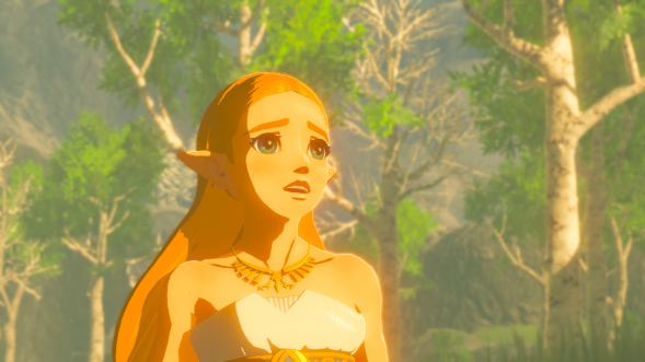 Legend of Zelda: Breath of the Wild [NSwitch, Русская версия] в Великом Новгороде