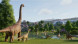 Игра Jurassic World: Evolution 3 [PS5, английская версия] в Великом Новгороде