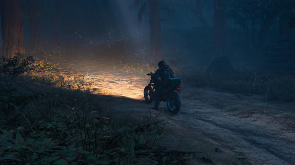 Игра Жизнь После (Days Gone) [PS4, русская версия] в Великом Новгороде
