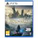 Игра Hogwarts Legacy. Exclusive DLC Astronomers Hat [PS5, русские субтитры] в Великом Новгороде