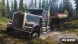 Игра Spintires: MudRunner American Wilds [Nintendo Switch, русские субтитры] в Великом Новгороде