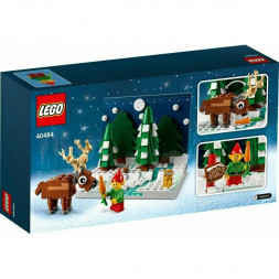 Конструктор LEGO 40484 Перед домом Деда Мороза