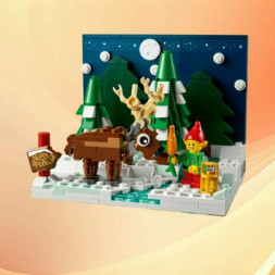 Конструктор LEGO 40484 Перед домом Деда Мороза